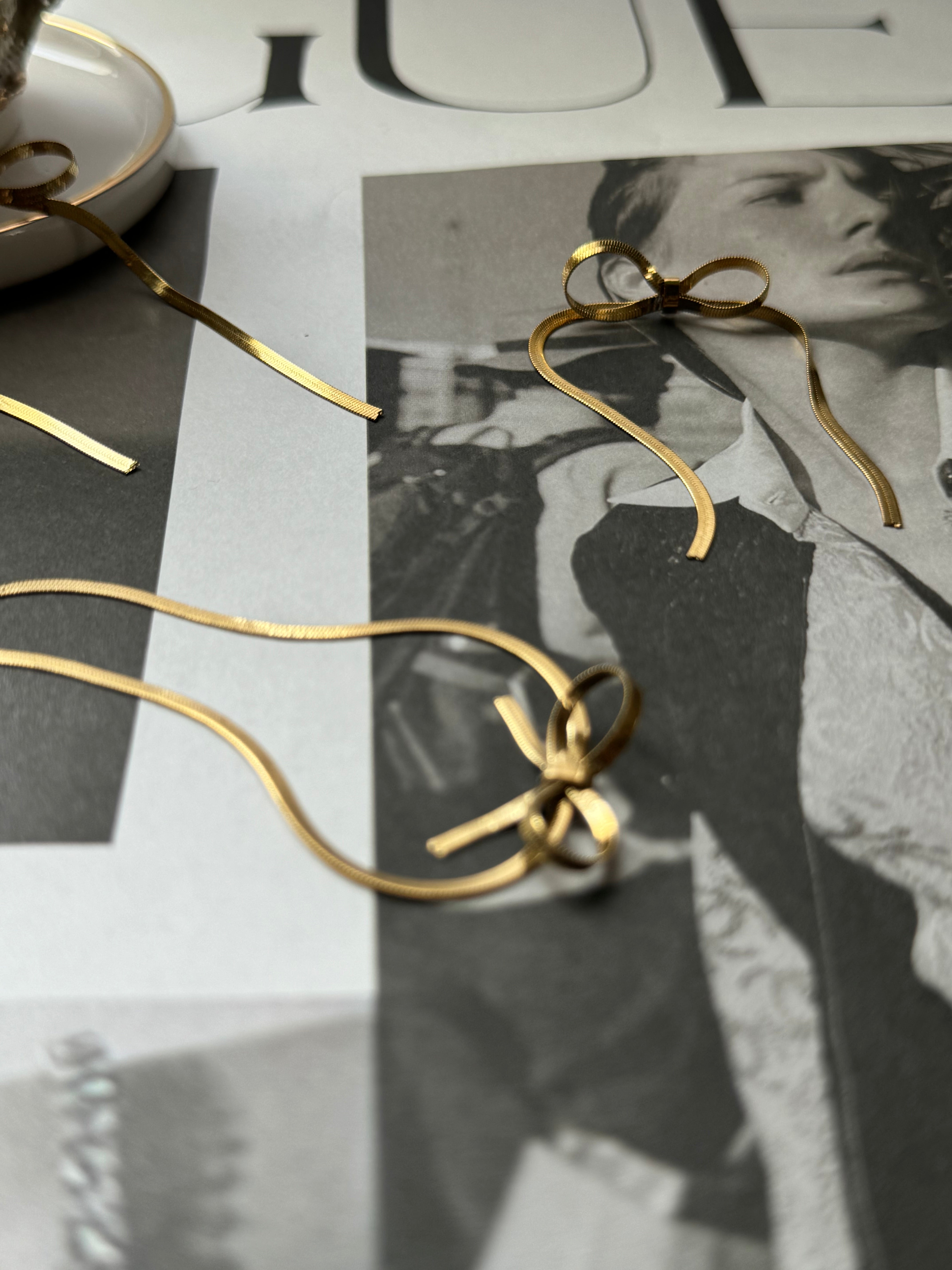 Luxurious Bow Knot long Earrings & Necklace Set